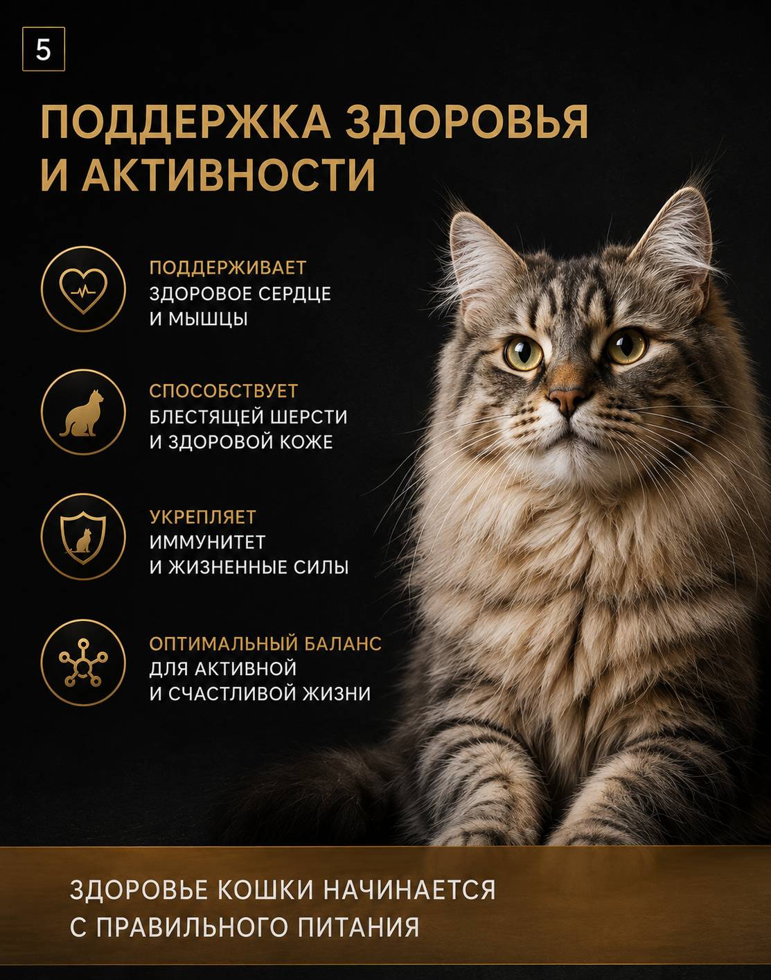 Корм для кошек RoxFox сухой полнорационный для кошек всех пород с индейкой 1,5 кг - фото 4