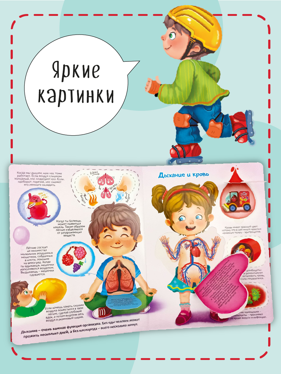 Книжка для малышей BimBiMon с окошками. Моя первая анатомия Виммельбух - фото 5