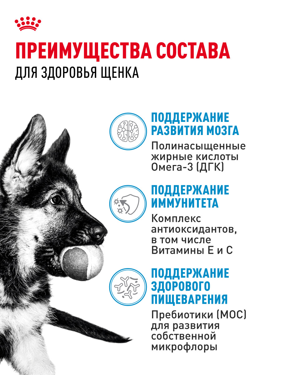 Корм для щенков влажный ROYAL CANIN Maxi Puppy для крупных пород в возрасте до 15 месяцев соус 100г - фото 3