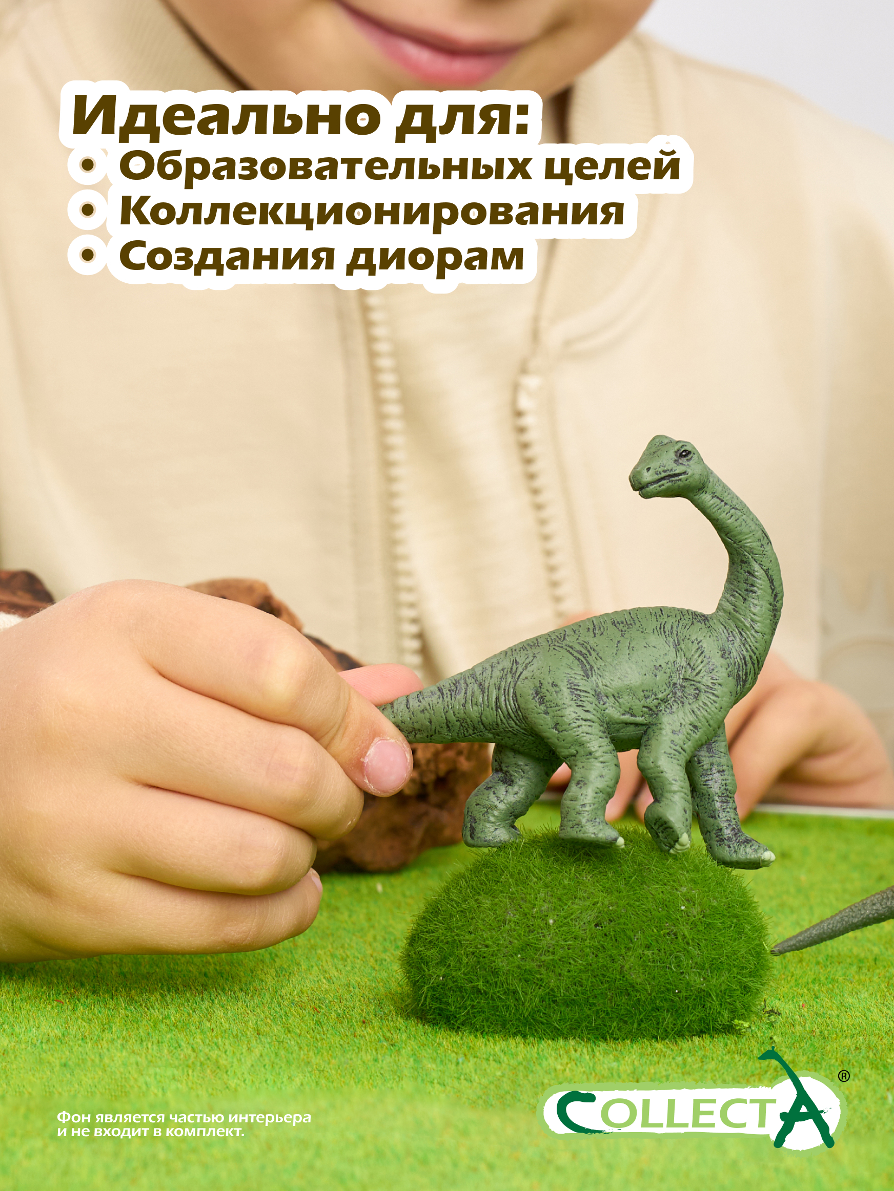 Фигурка Collecta Детёныш Брахиозавра - фото 6