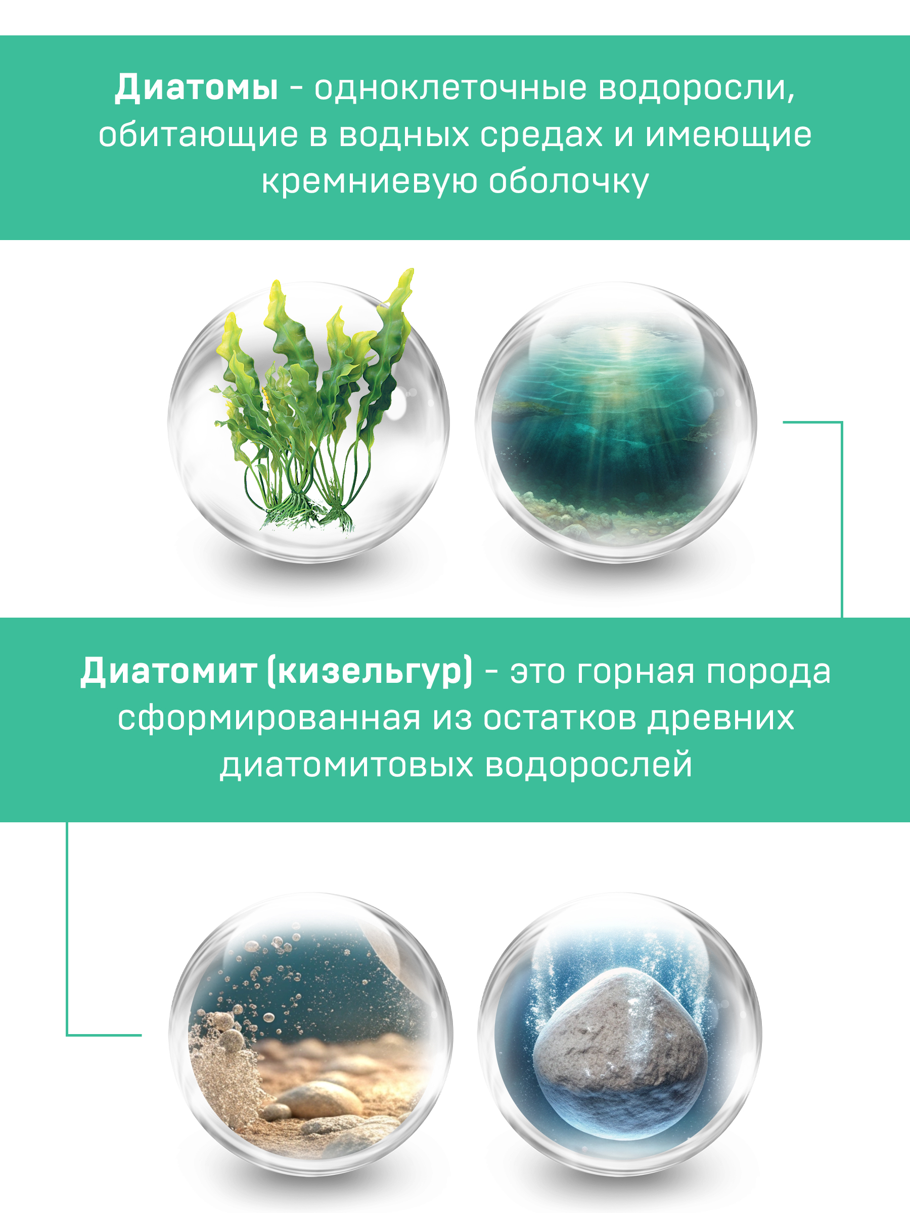 Диатомит пищевой сорбент для детокса Bionormula для очистки организма банка 200г - фото 10