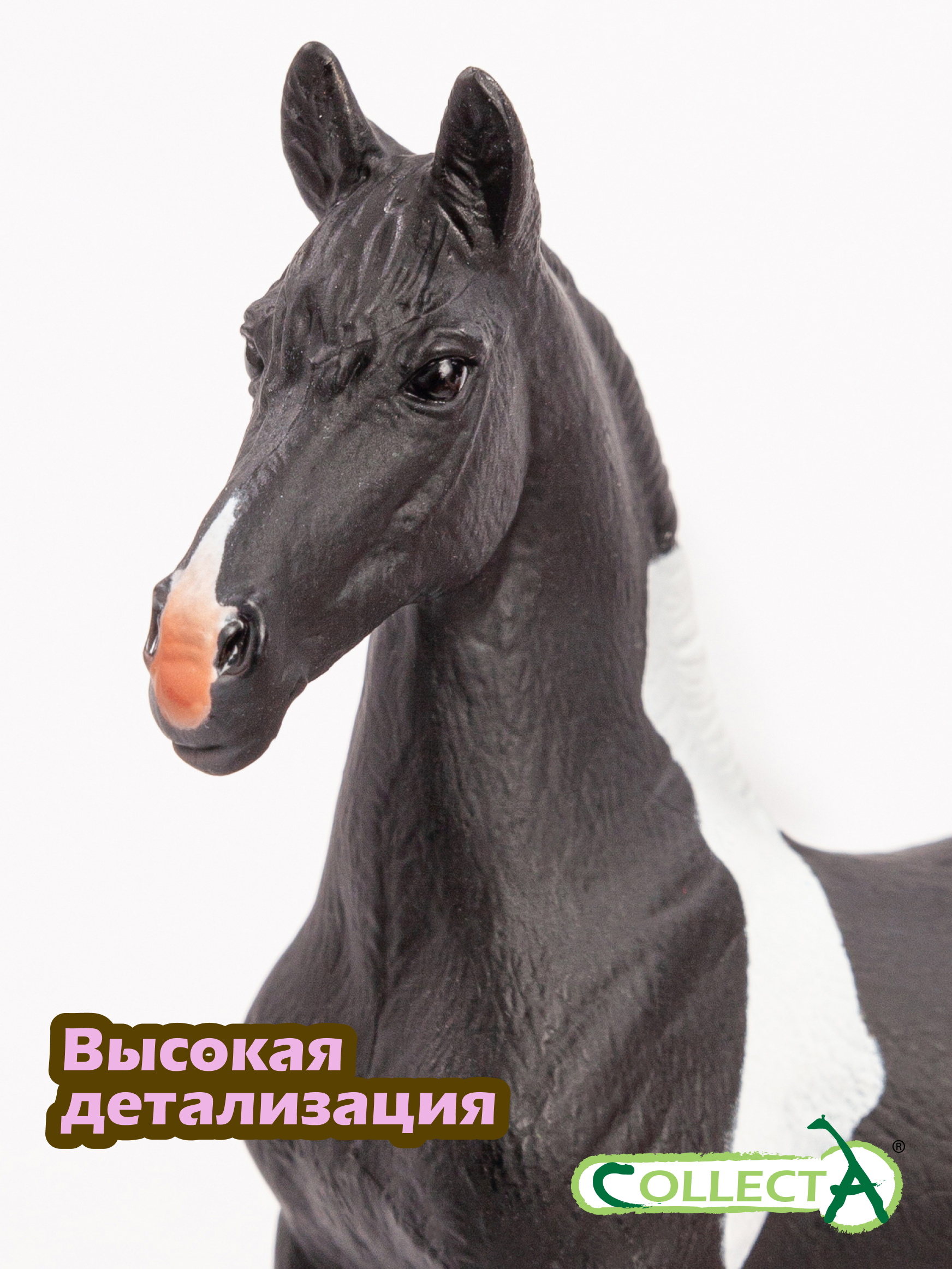 Фигурка Collecta жеребёнок Барок Пинто - фото 3