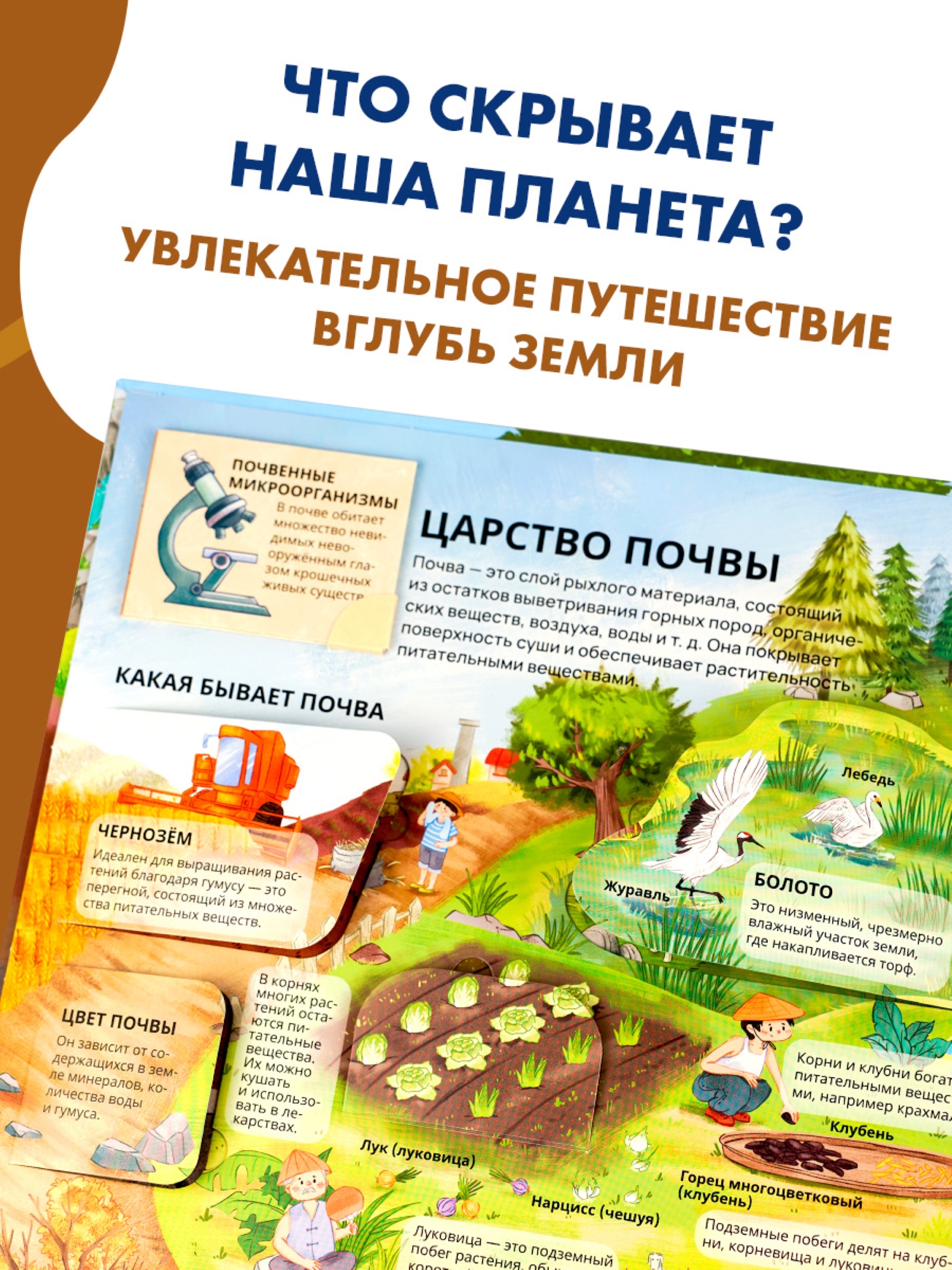 Книга АСТ На земле и под землёй - фото 8