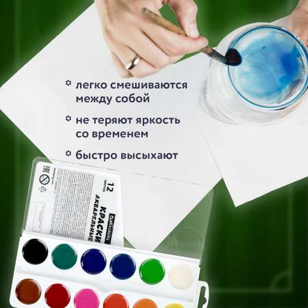 Краски акварель Brauberg 12 цв.