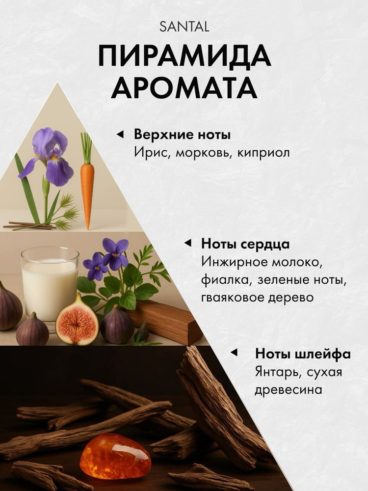 Диффузор с сухоцветами в Премиум тубусе Accents Santal - фото 2