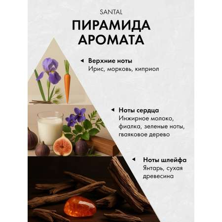 Диффузор с сухоцветами в Премиум тубусе Accents Santal