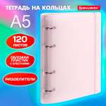 Тетрадь со сменным блоком Brauberg клетка 120 лист.
