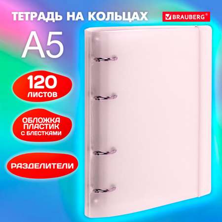 Тетрадь со сменным блоком Brauberg клетка 120 лист.