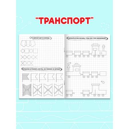Прописи Проф-Пресс графические диктанты. Набор из 4 шт. по 16 стр. А5.