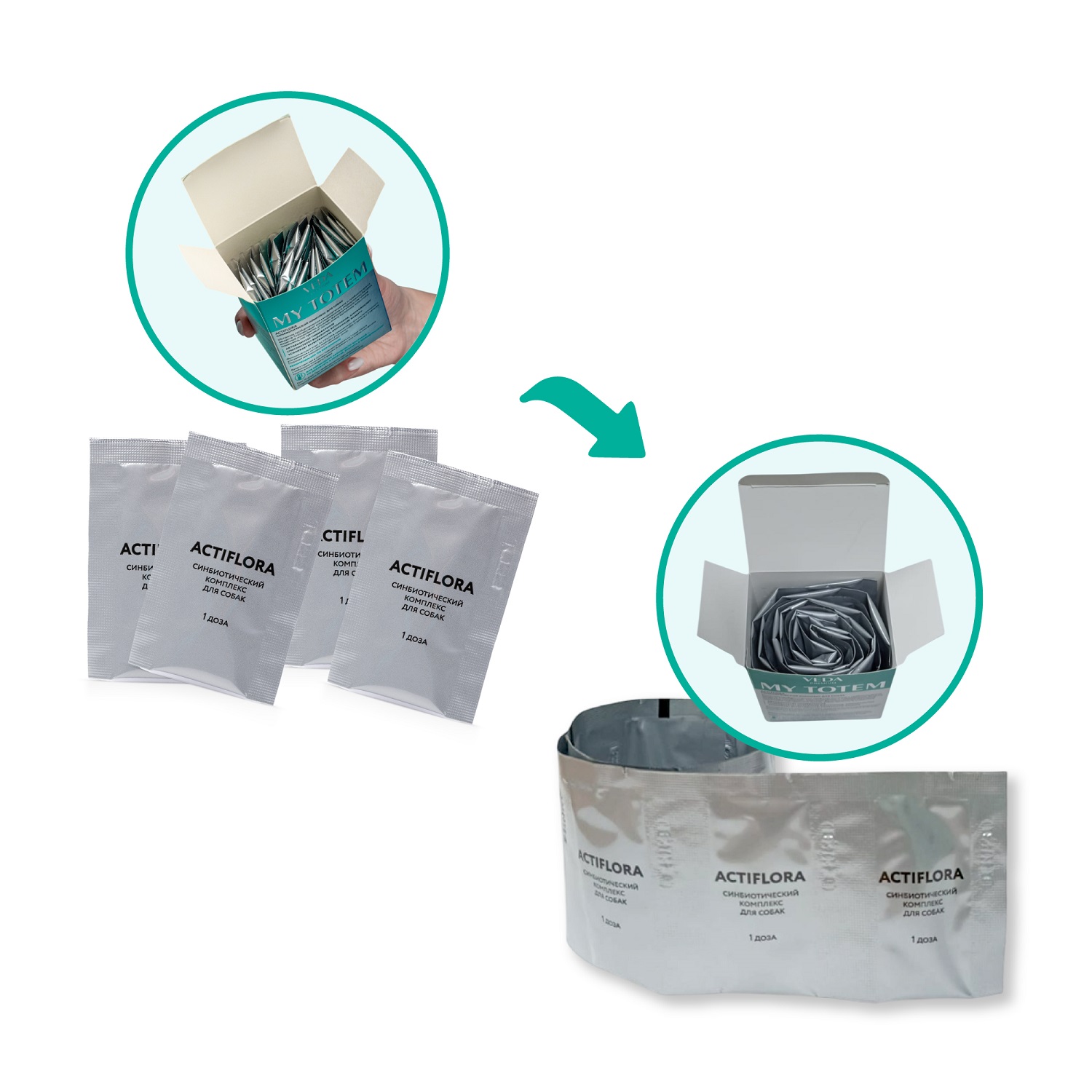 Комплекс для собак синбиотический Veda My Totem Actiflora мультипробиотик и пребиотик 10г - фото 2