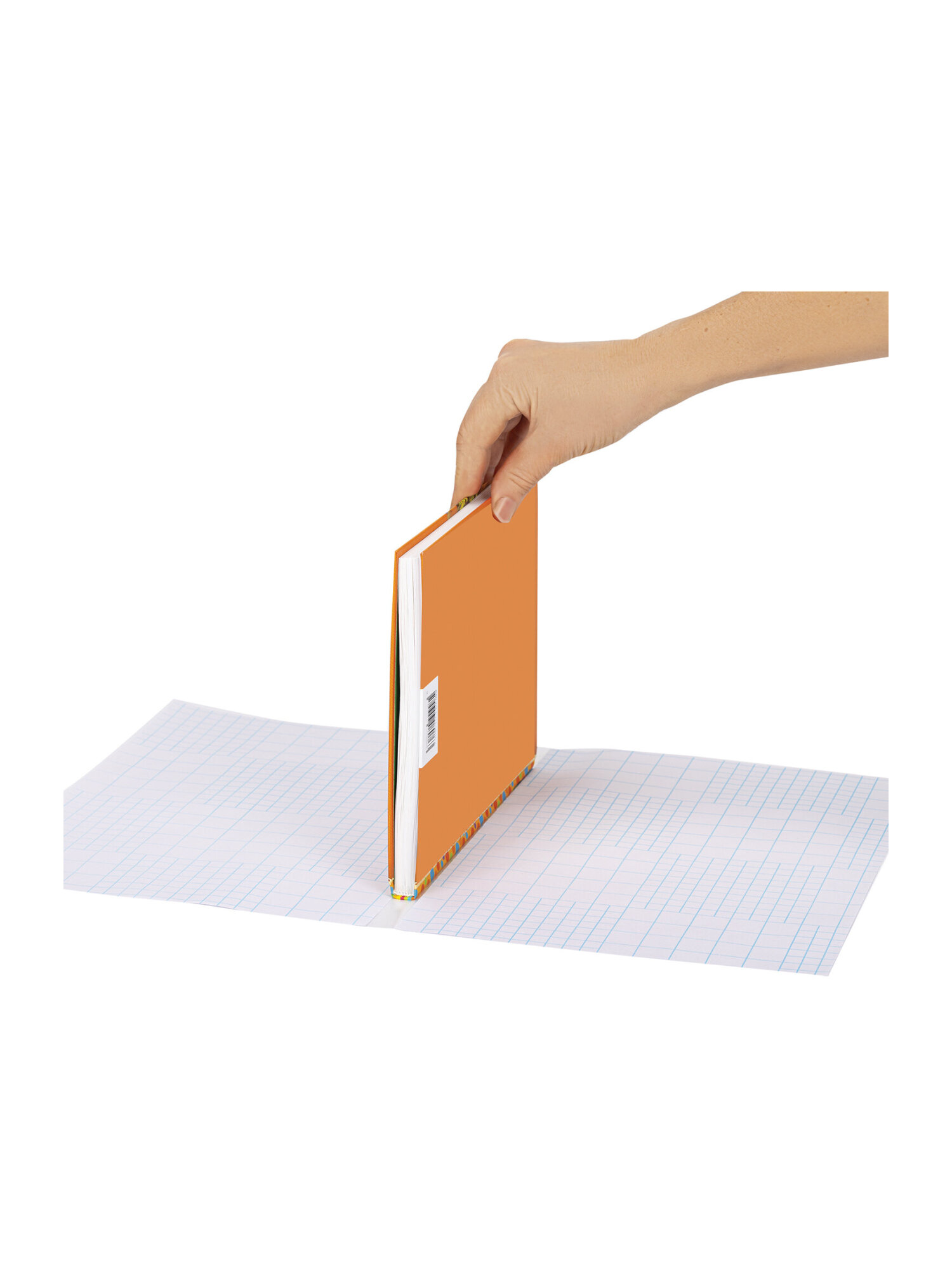 Обложка Пифагор 50 x 36 см - фото 9