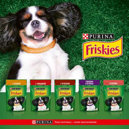 Корм для собак Friskies ягненок 85г