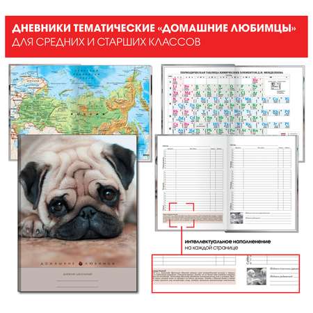 Дневник Unnika land Домашние любимцы Дизайн 1 18 48л