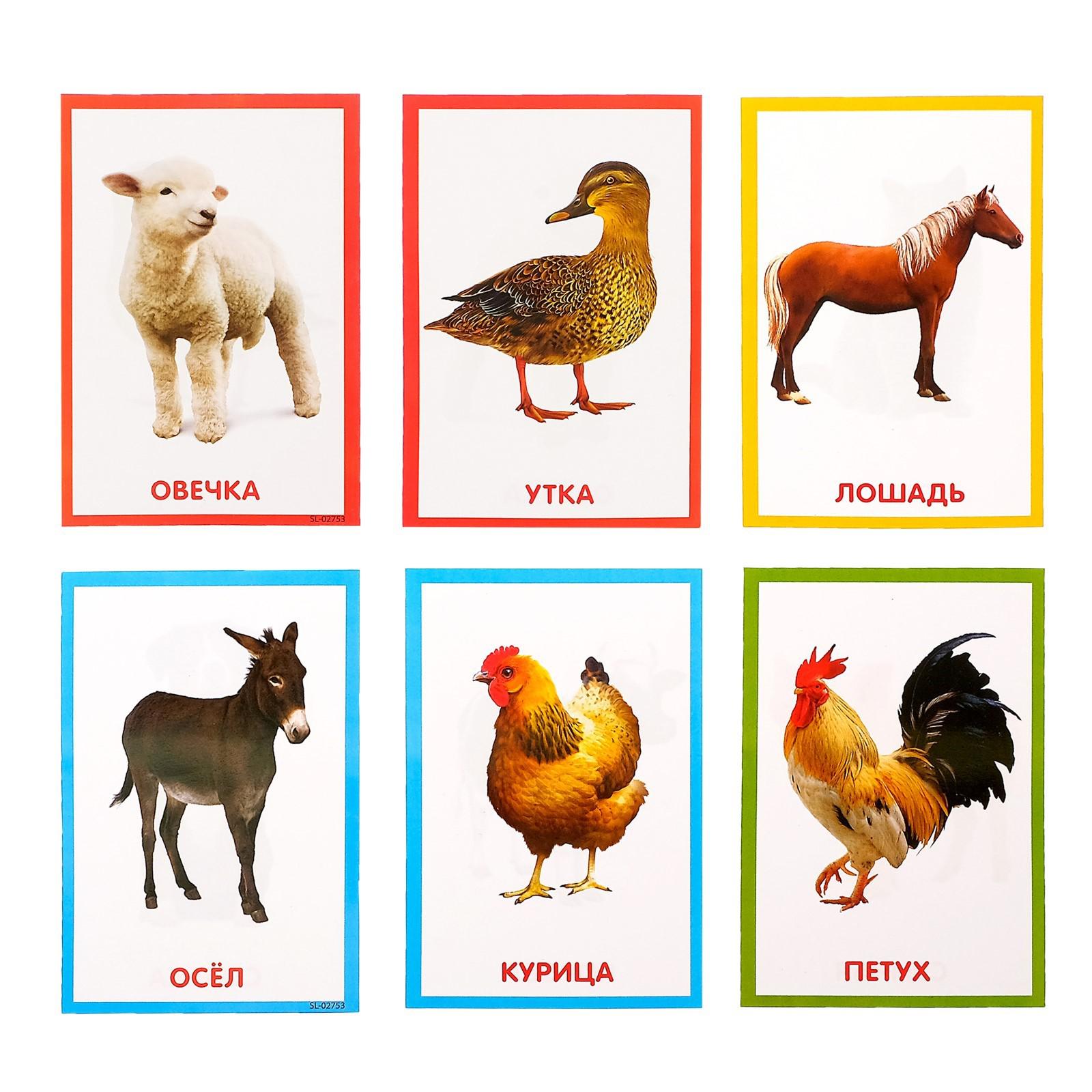 Игрушка Zabiaka - фото 3