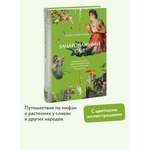 Книга МИФ Зачарованный сад. Майское дерево, цветок папоротника и другие легенды