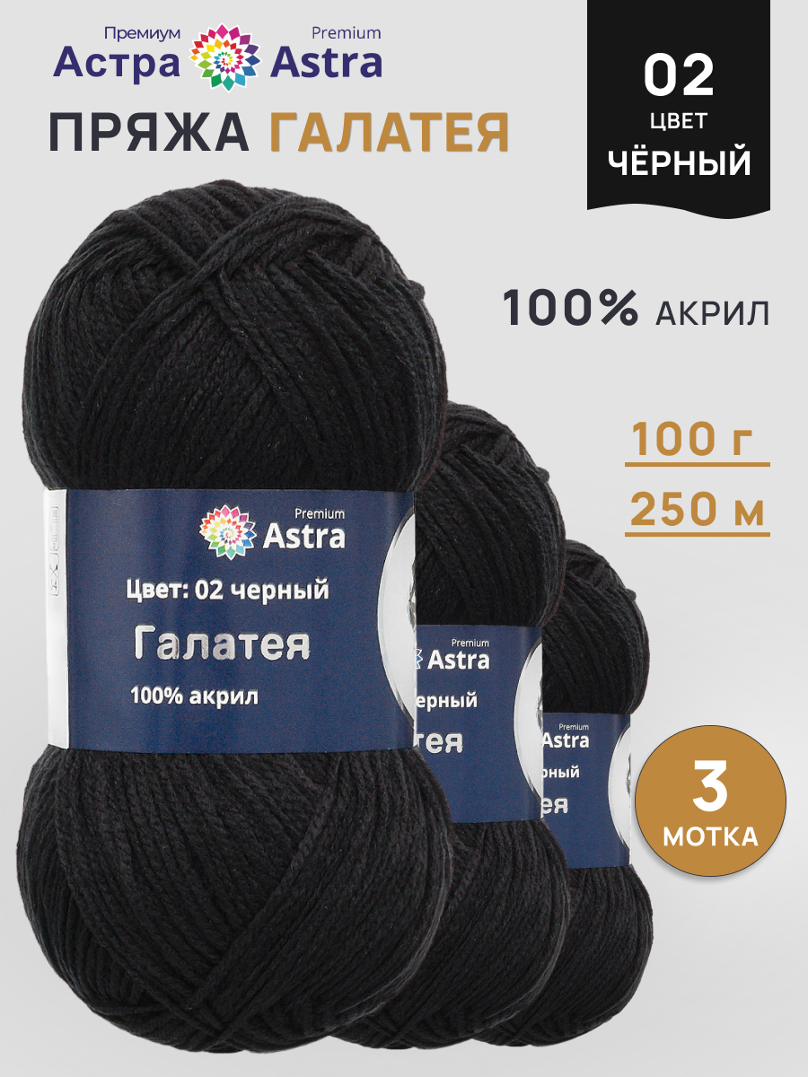 Пряжа Astra Premium Галатея акриловая 100 г 250 м 02 черный 3 мотка - фото 1