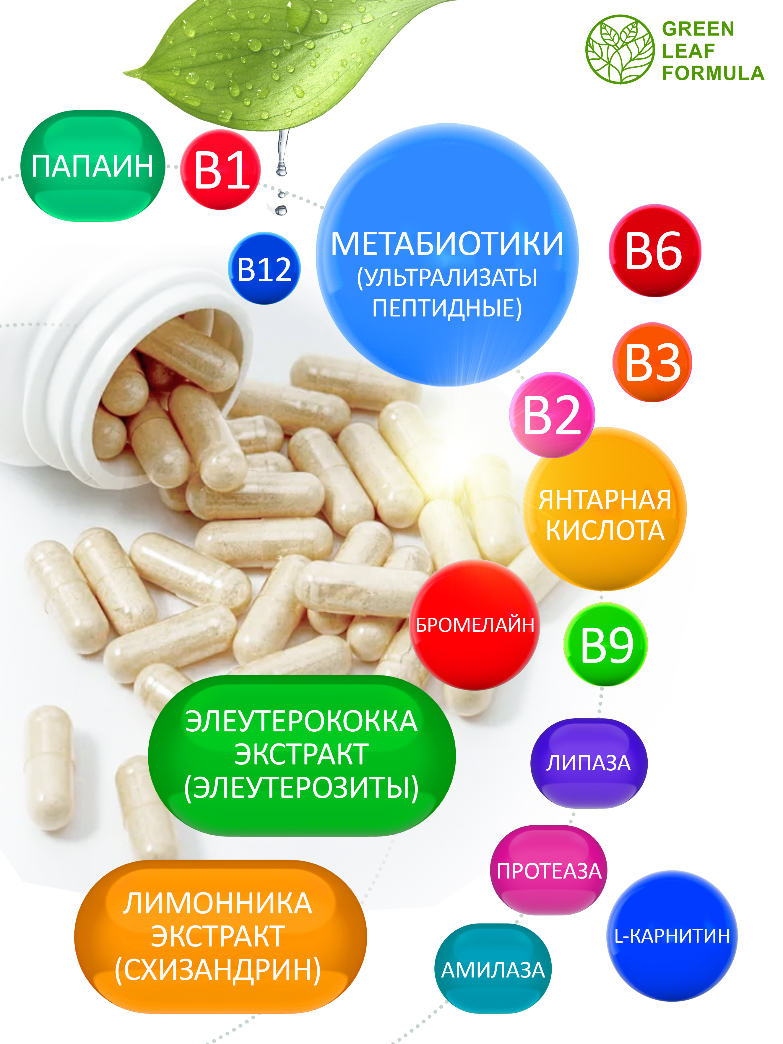 Метабиотик для кишечника Green Leaf Formula ферменты для пищеварения L-карнитин для сжигания жира для иммунитета - фото 3