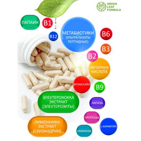 Метабиотик для кишечника Green Leaf Formula ферменты для пищеварения L-карнитин для сжигания жира для иммунитета