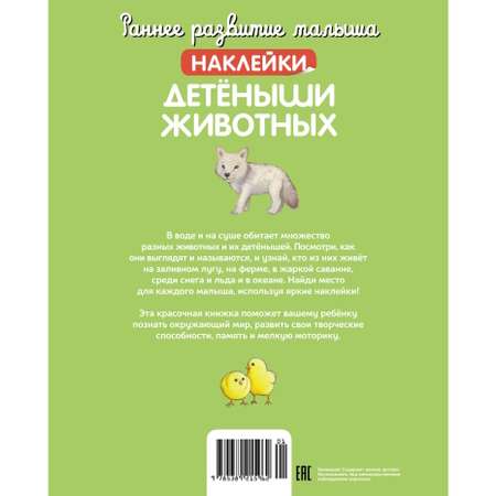 Книга Раннее развитие малыша Детёныши животных с наклейками