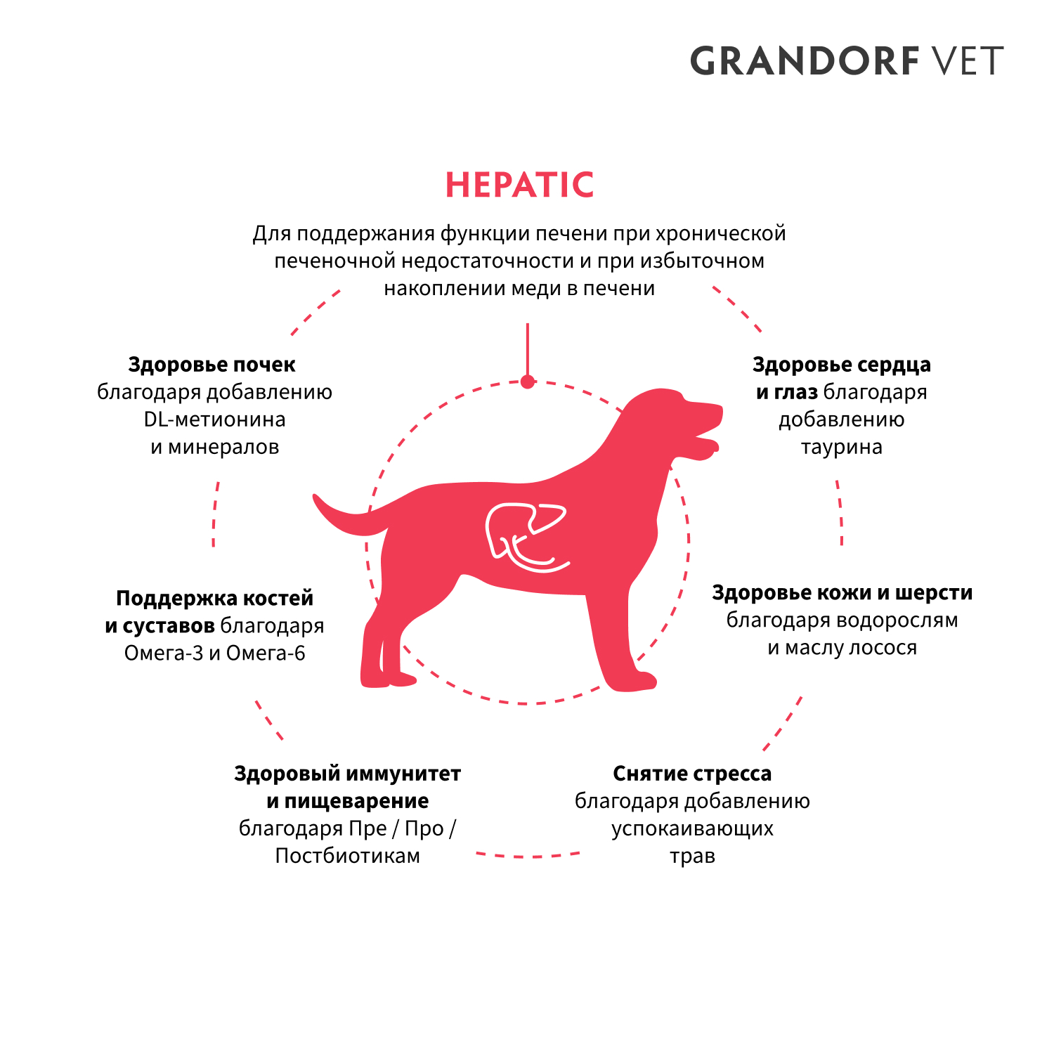 Корм для собак GRANDORF VETERINARY для поддержания функций печени при ХПН 3кг - фото 7