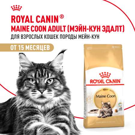 Корм сухой для кошек ROYAL CANIN Maine Coon 2кг породы мейн-кун