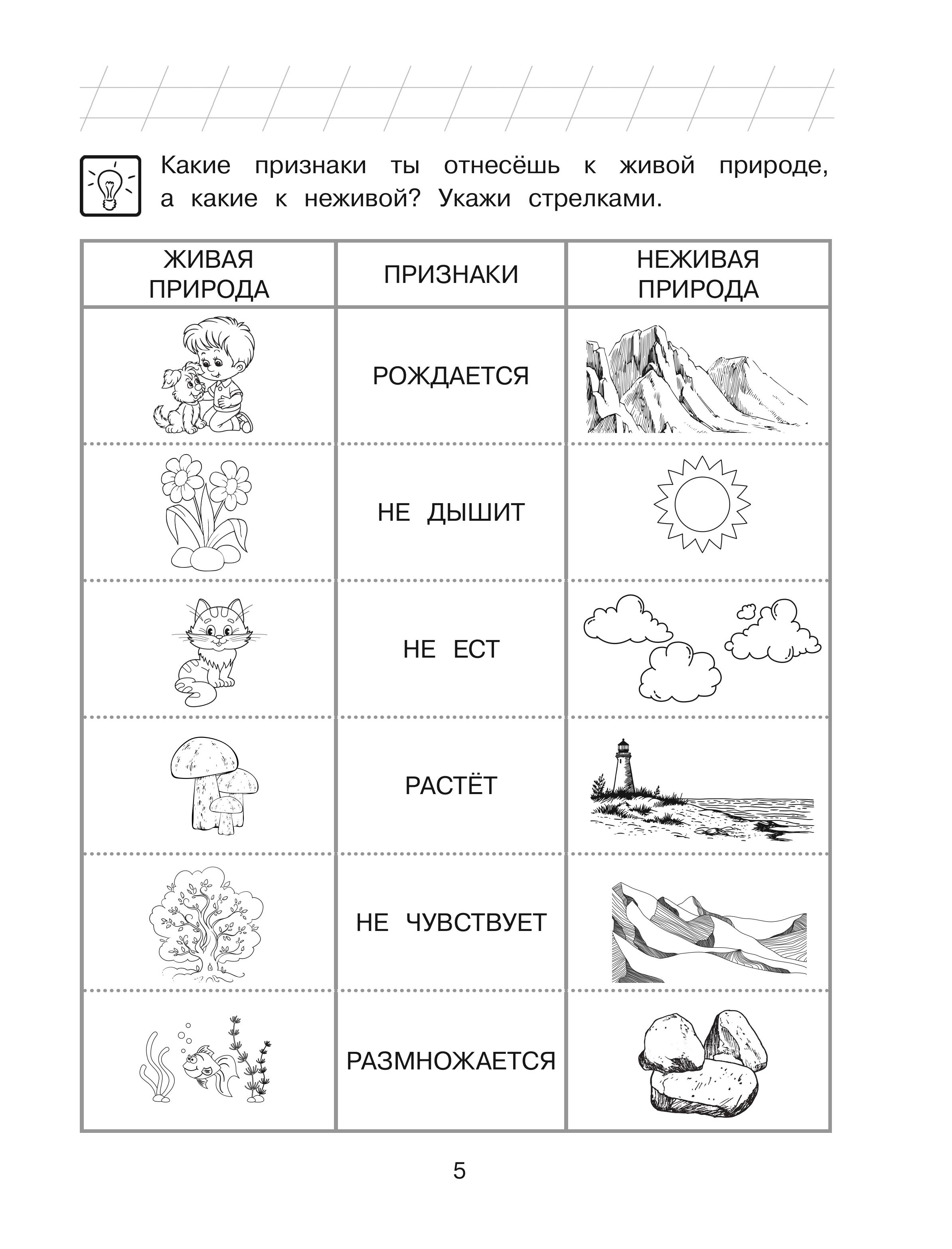Книга Эксмо Изучаю мир вокруг: для детей 6-7 лет (ч/б) - фото 8