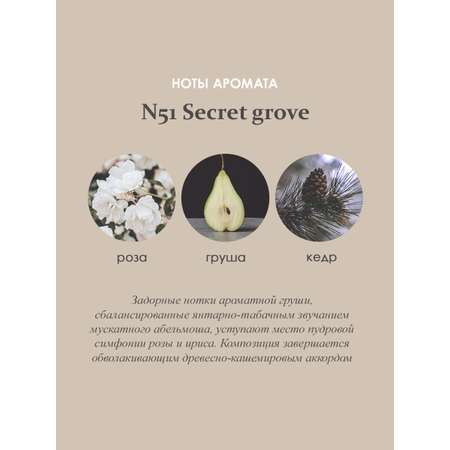 Ароматический диффузор Aroma Republic в стеклянном флаконе 90 мл №51 Secret grove