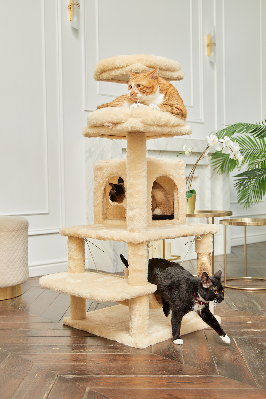 Игровой комплекс для кошек дом Pet БМФ Бежевый - фото 7