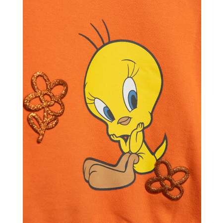 Толстовка Looney Tunes