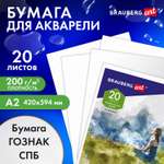 Художественная бумага Brauberg для акварели