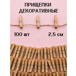 Набор аксессуаров AXLER Прищепки декоративные 100шт