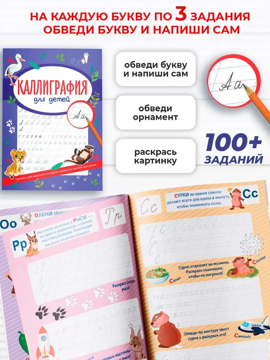 Набор Каллиграфия и Скорочтение True Books Space обучающие пособия - фото 3