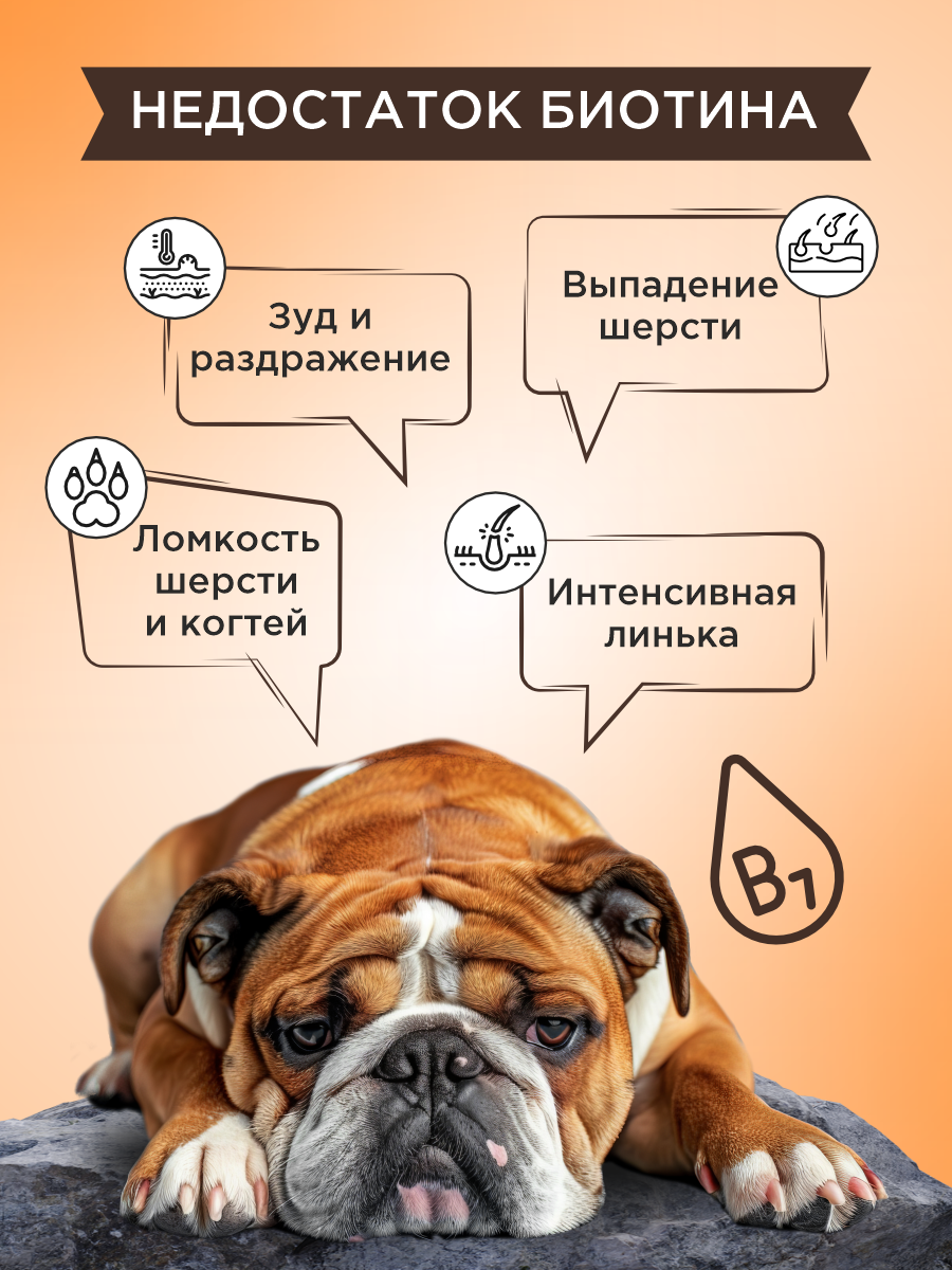 Полезное лакомство для собак GOODR DOG со вкусом голландского сыра 90 таб. - фото 4