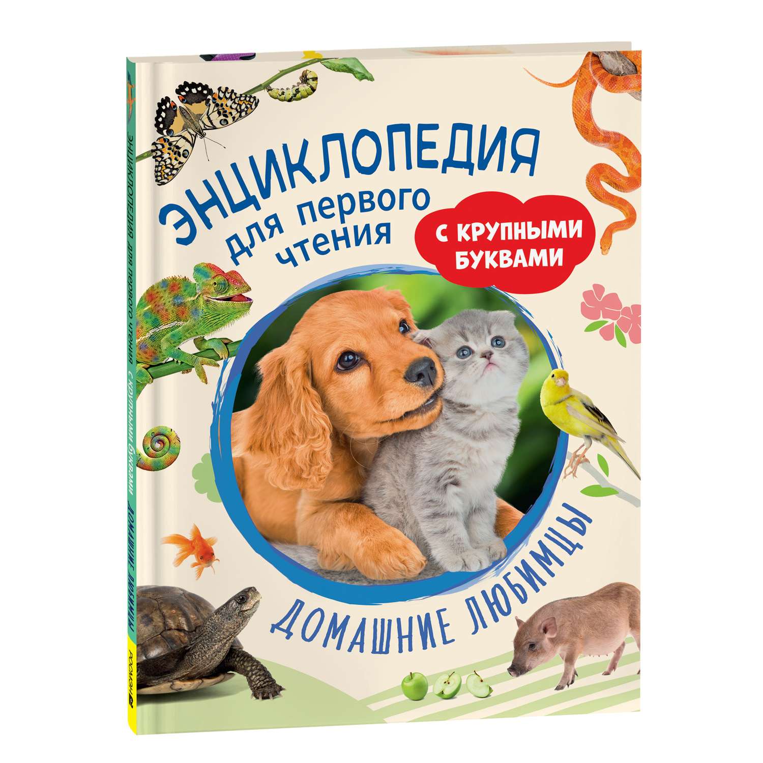 Книга Домашние любимцы Энциклопедия для первого чтения с крупными буквами - фото 1