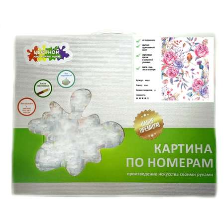 Картина по номерам Цветной