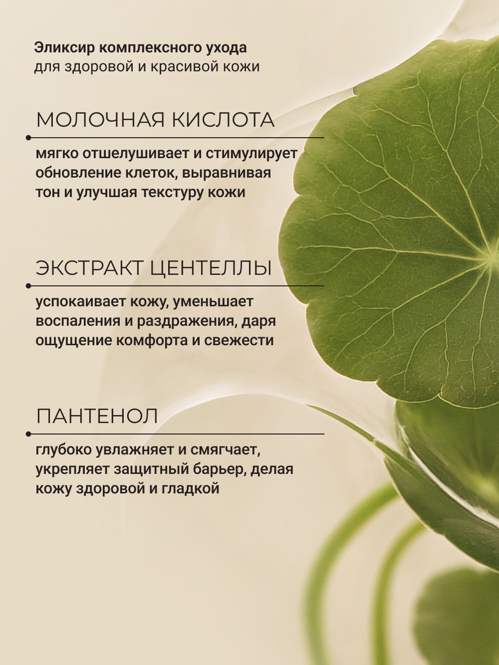 Гель Zeitun с центеллой и алоэ вера 100 мл - фото 5