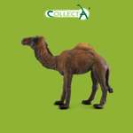 Фигурка Collecta Одногорбый верблюд