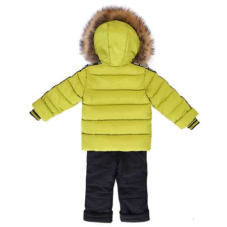 Комплект Arctic Goose