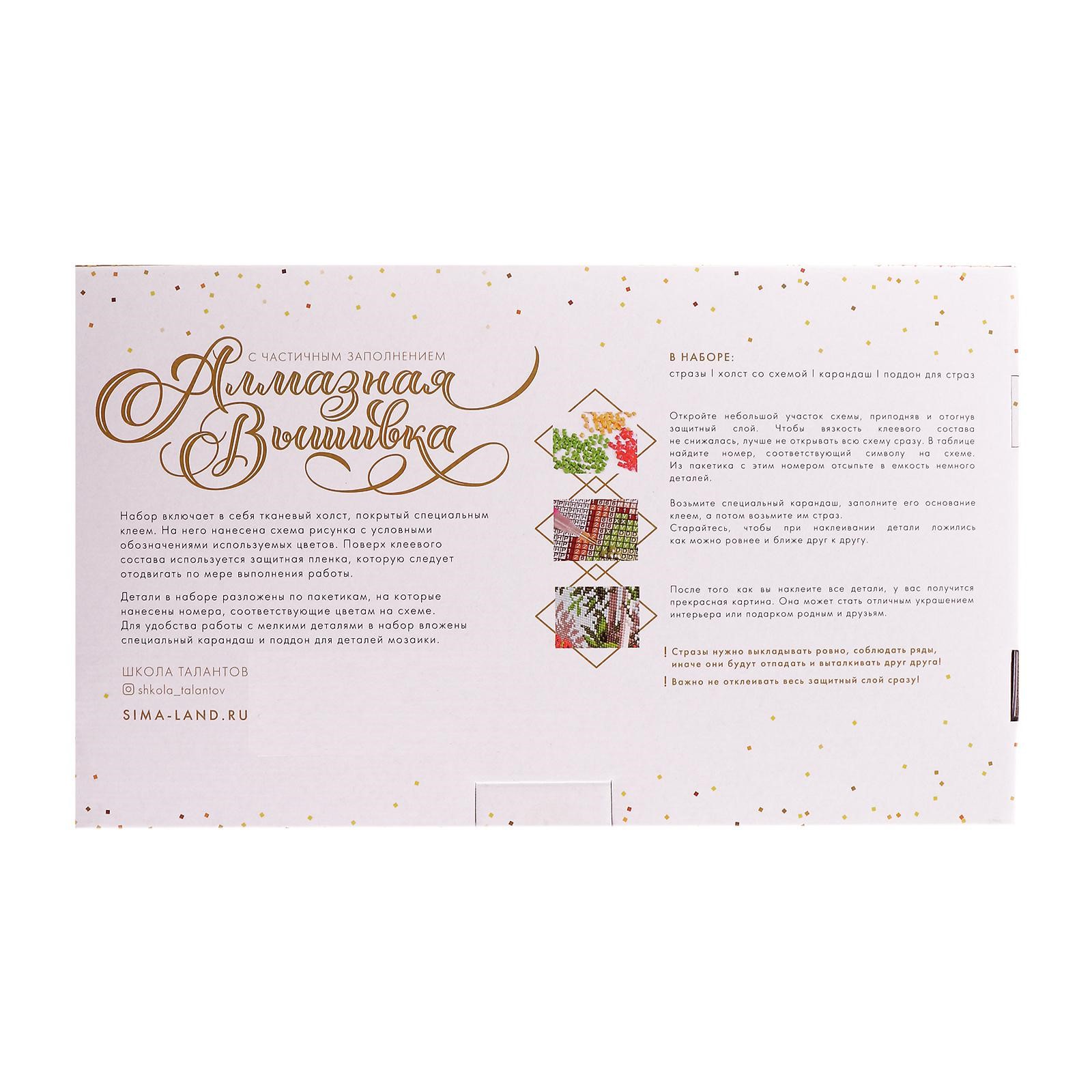 Алмазная мозаика Школа Талантов Влюбленная пара - фото 8