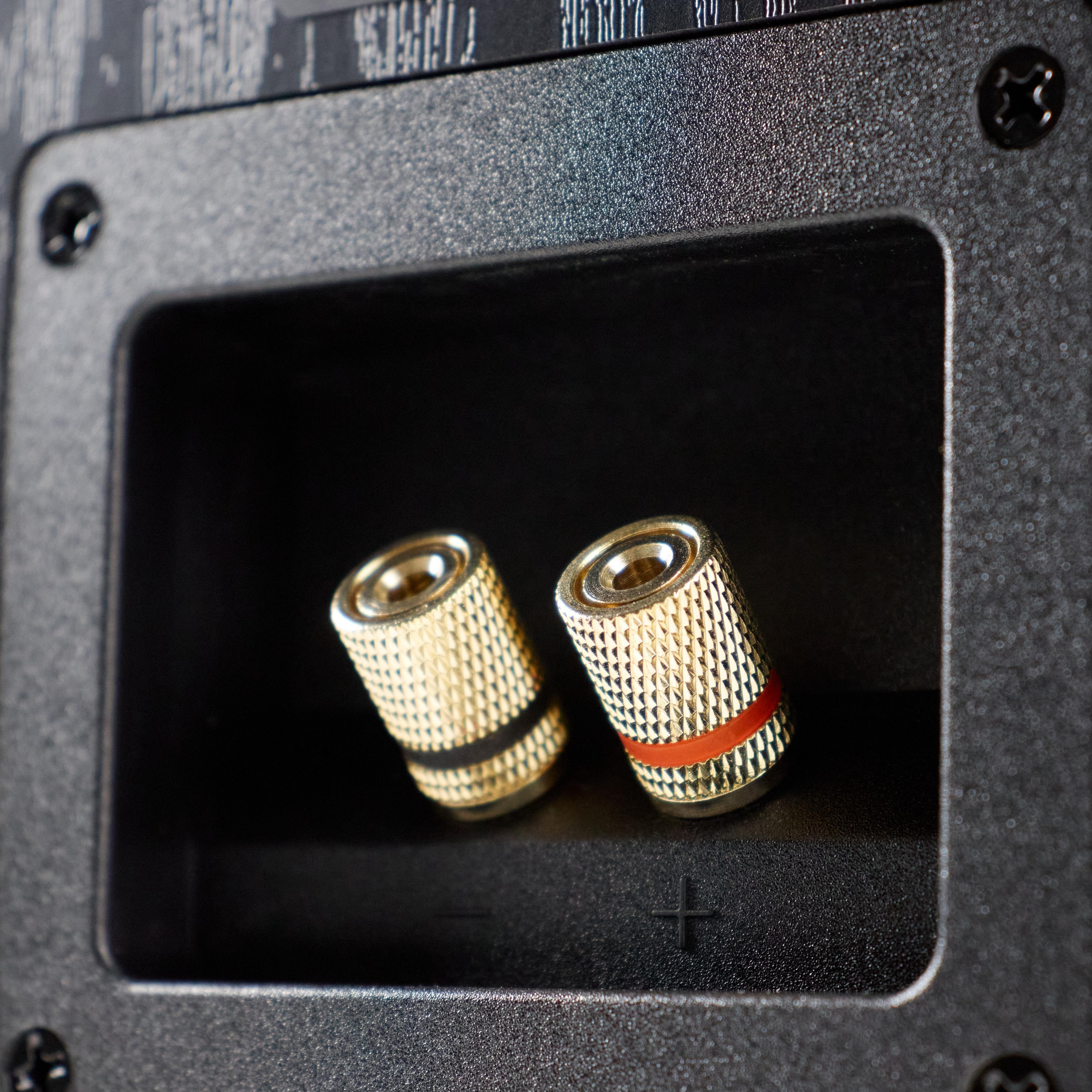 Колонка Radiotehnika S-20N - фото 7