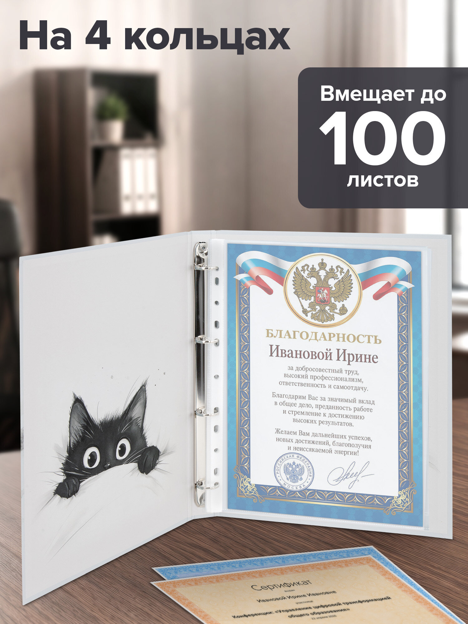 Портфолио школьника Brauberg папка А4 на кольцах 20 файлов для девочки и мальчика - фото 2