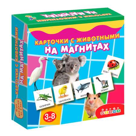 Настольная игра Дрофа-Медиа