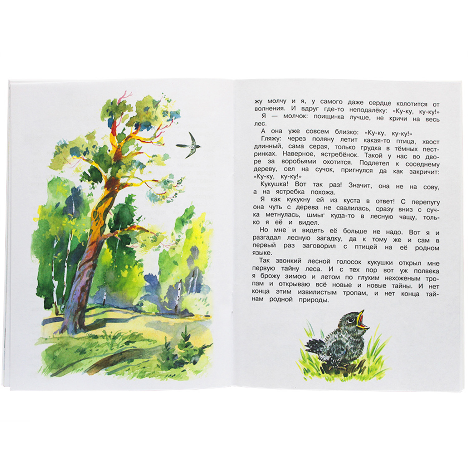 Книга Искатель Детская книга - фото 2