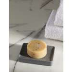 Мыльница DeNASTIA