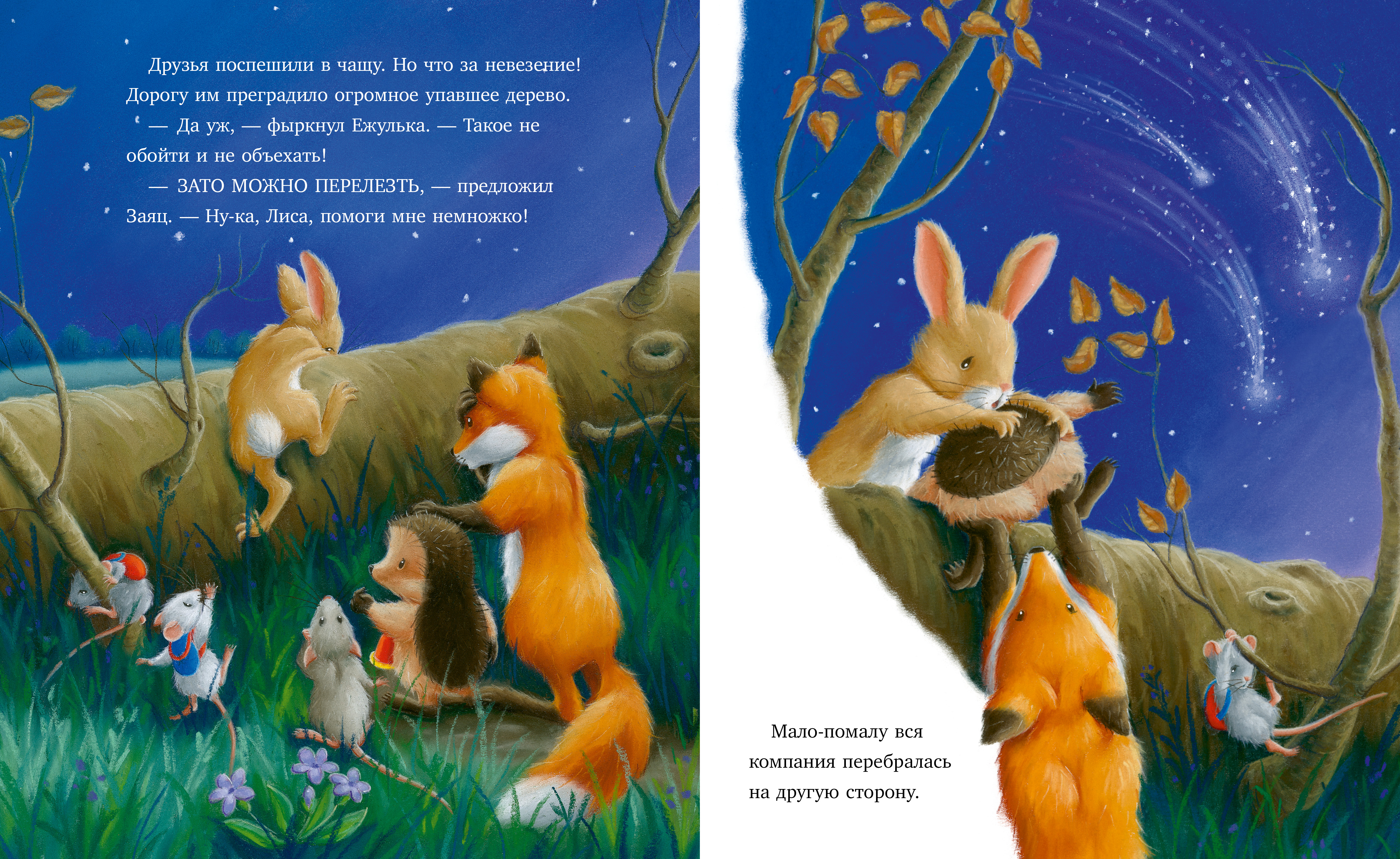 Книга Clever Приключения Ежульки - фото 4