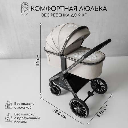 Коляска 2в1 Amarobaby Motus
