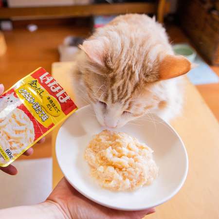 Корм для кошек INABA Ciao Kinnodashi 60г куриное филе со вкусом морского гребешка пауч
