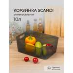 Органайзер Econova SCANDI 34х24х14 см 10 л черный прозрачный