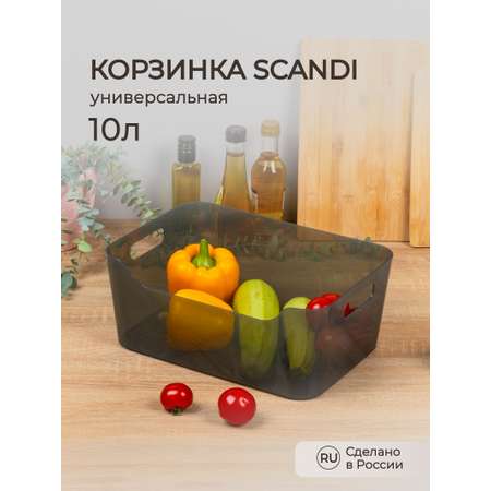 Органайзер Econova SCANDI 34х24х14 см 10 л черный прозрачный