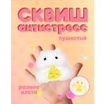 Сквиш Винтер в ассортименте